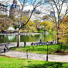 Central Park